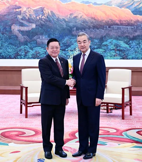 王毅会见东盟秘书长高金洪