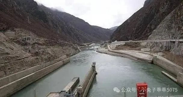 区域合作发展前景