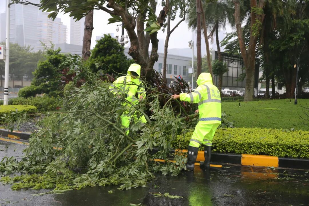 台风“桦加沙”来袭！广东多地移民管理警察迅速响应防台救灾保安全