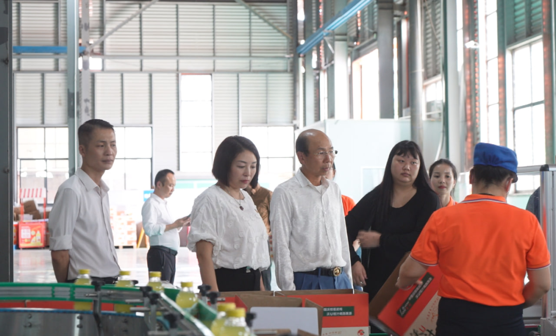 柬埔寨客商盛赞广西武鸣沃柑 有望为武鸣沃柑进开拓东南亚市场提供新机遇